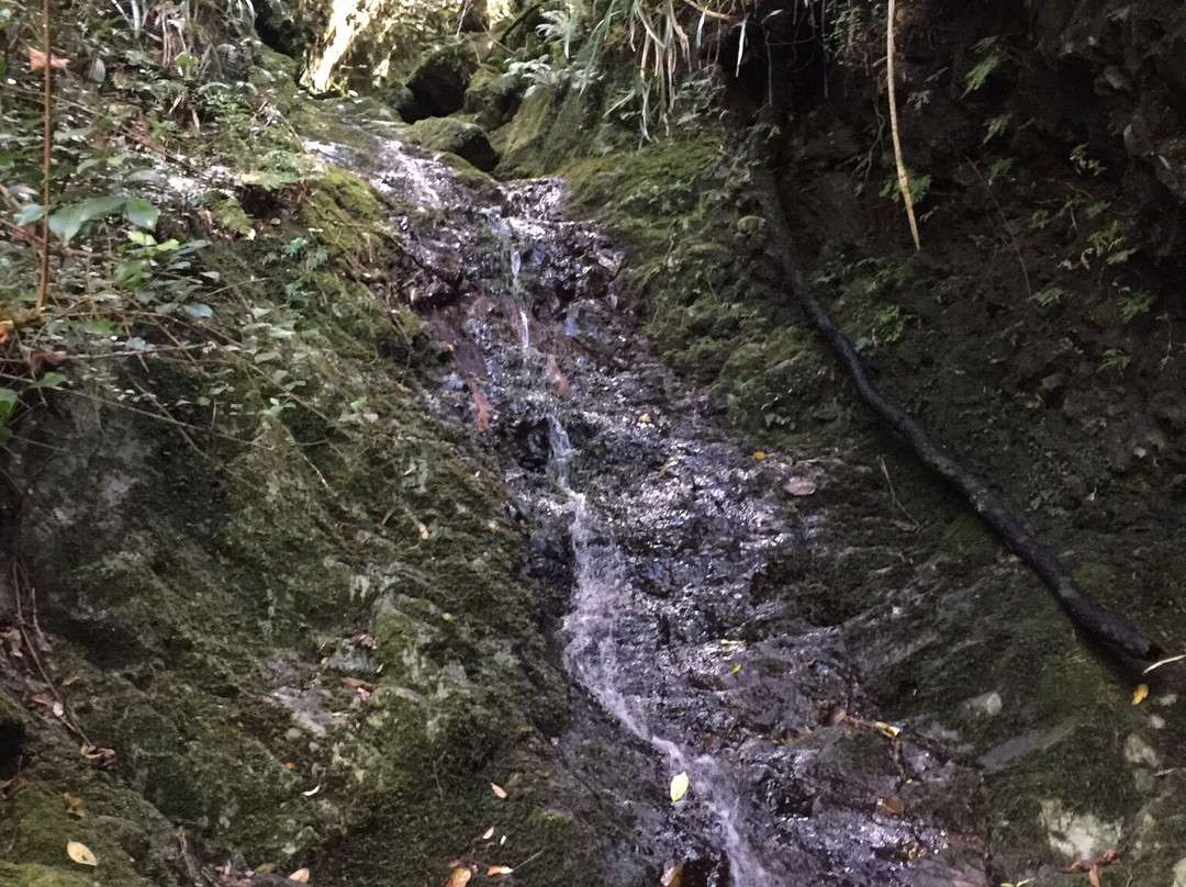Les Cascades de Takamaka景点图片