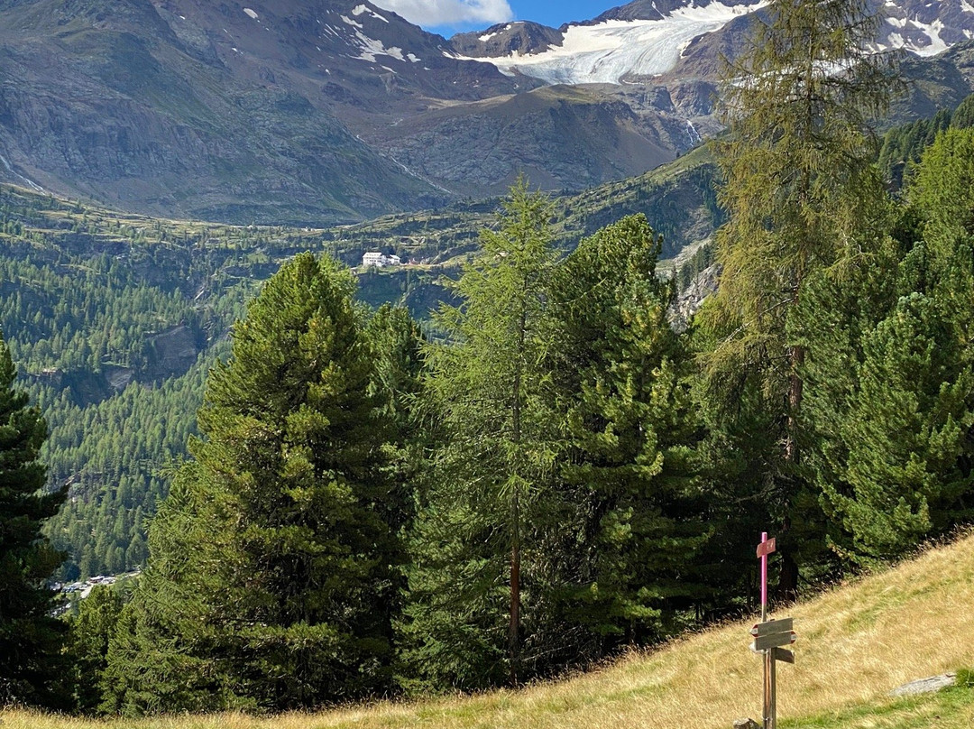 Hotel Obermoosburg主图