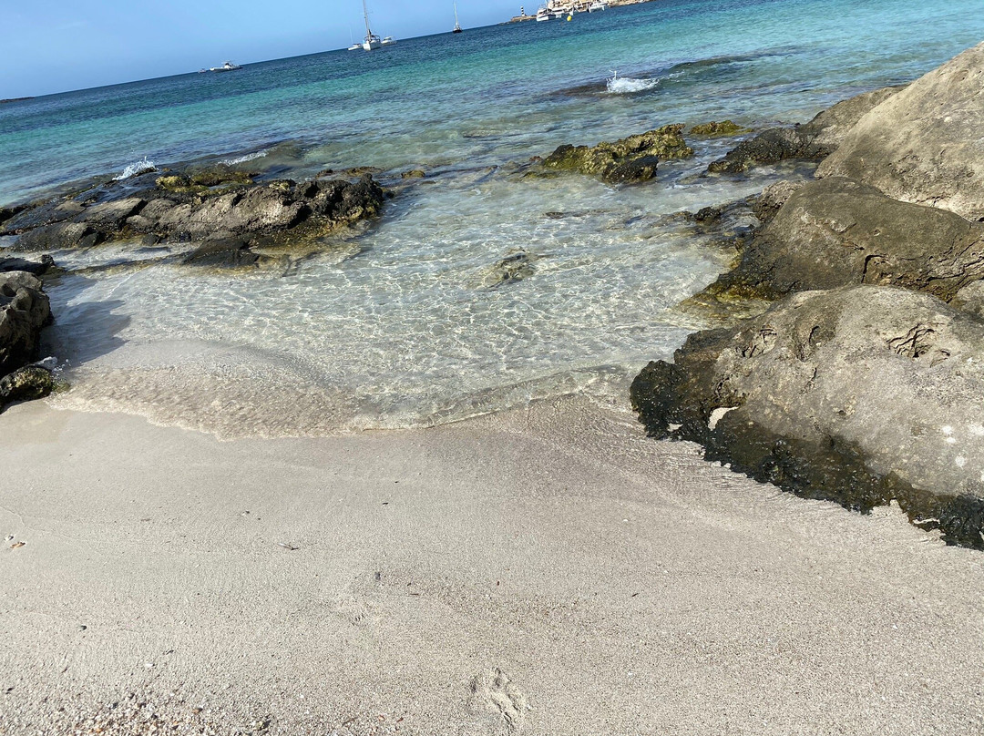 Playa Es Dolc景点图片