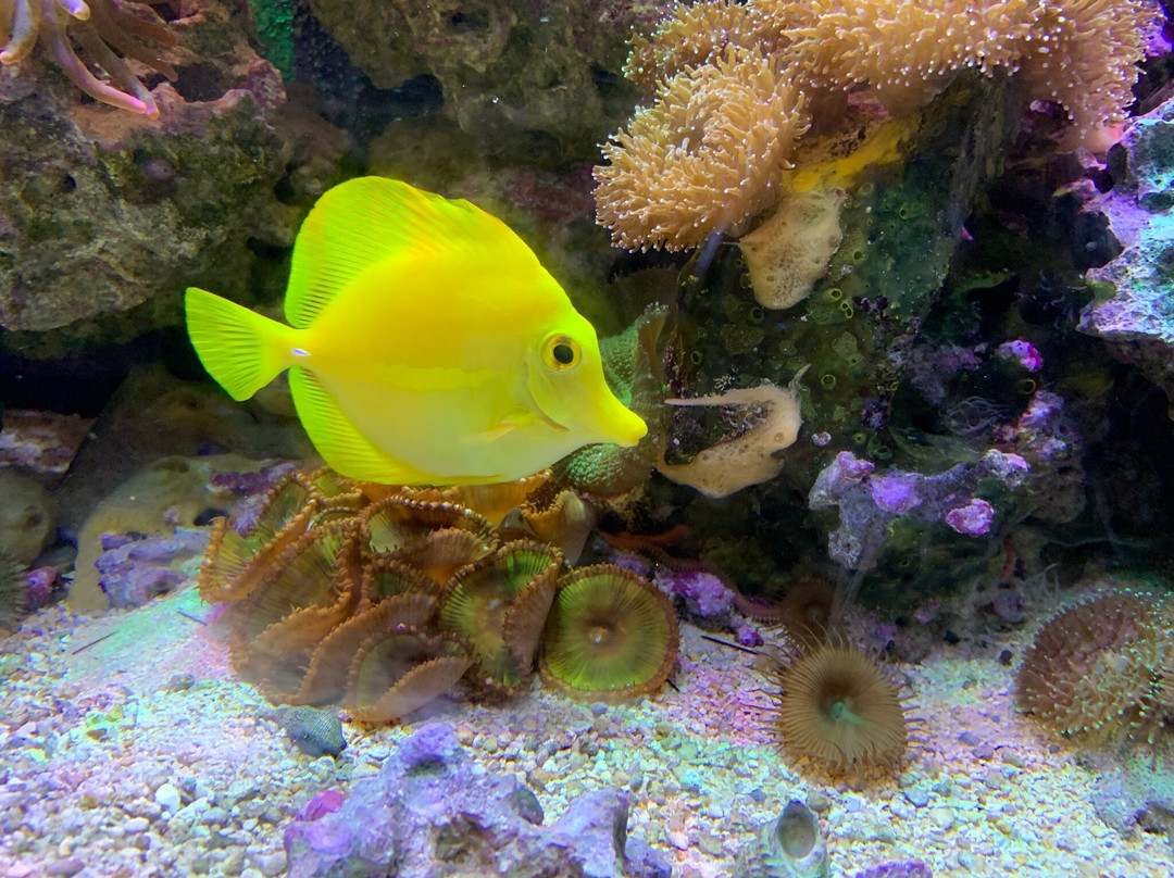 East Idaho Aquarium景点图片