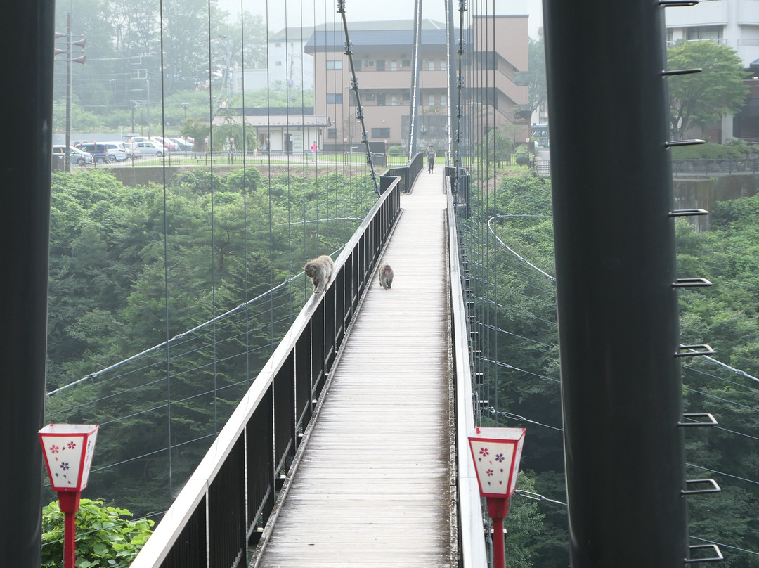 Kinu Tateiwa Otsuribashi (Suspension bridge)景点图片