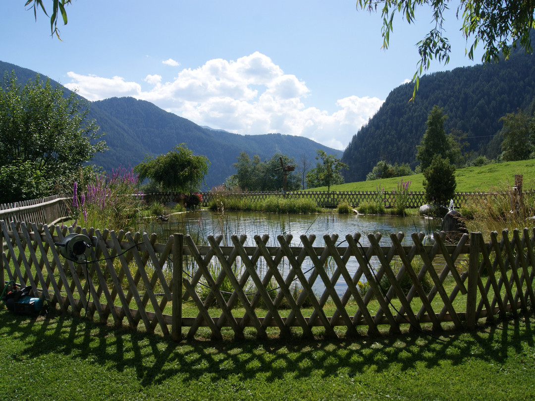 Pensione Graushof主图