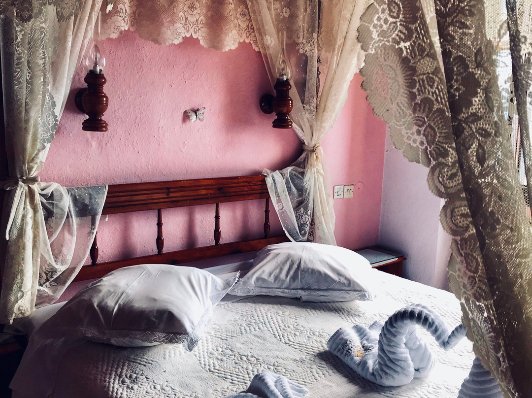 Diogenis Hotel主图