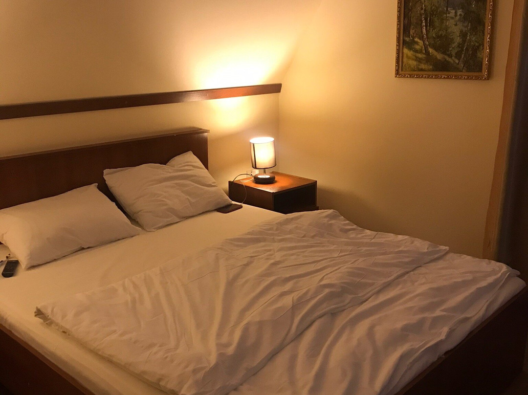 Hotel Onego主图