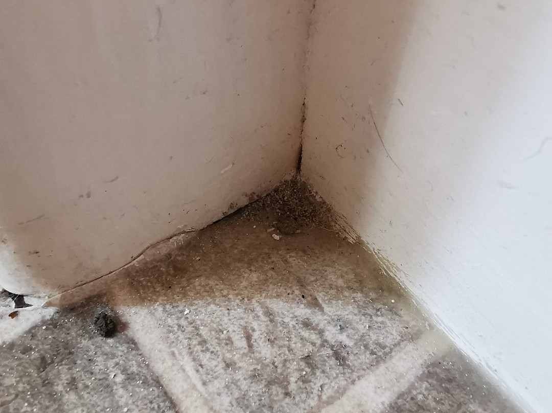 戴尔斯布里奇别墅酒店主图