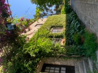 卡萨阿米尔旅馆主图