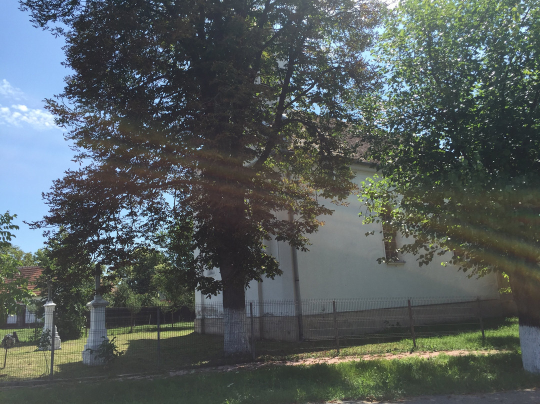 Charlottenburg-Bogda必去景点