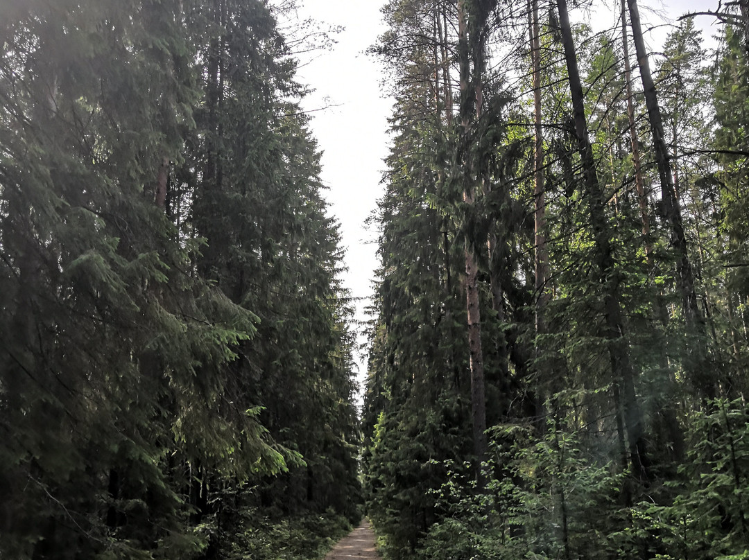 Natural Sanctuary Komarovskiy Bereg景点图片
