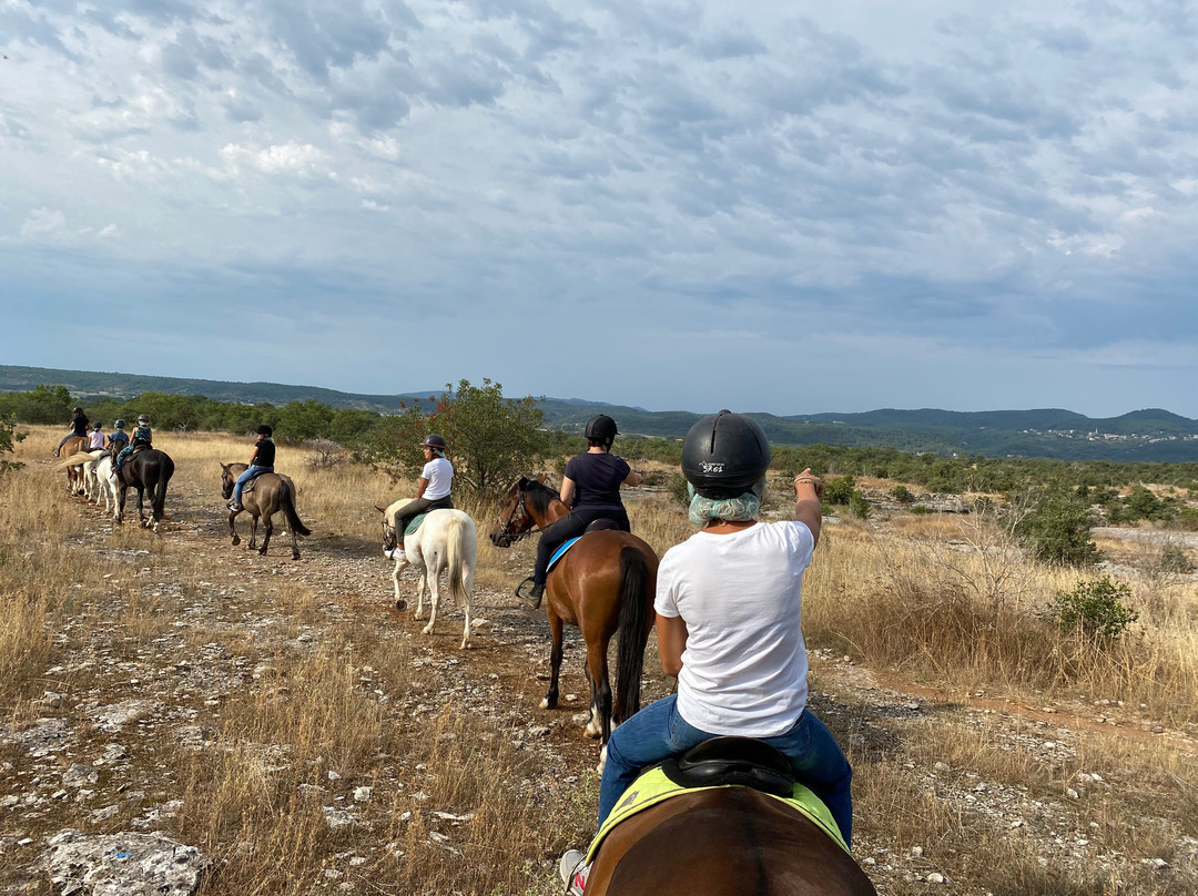 Centre Equestre L'Hippocampe-Berrias et Castejau必去景点
