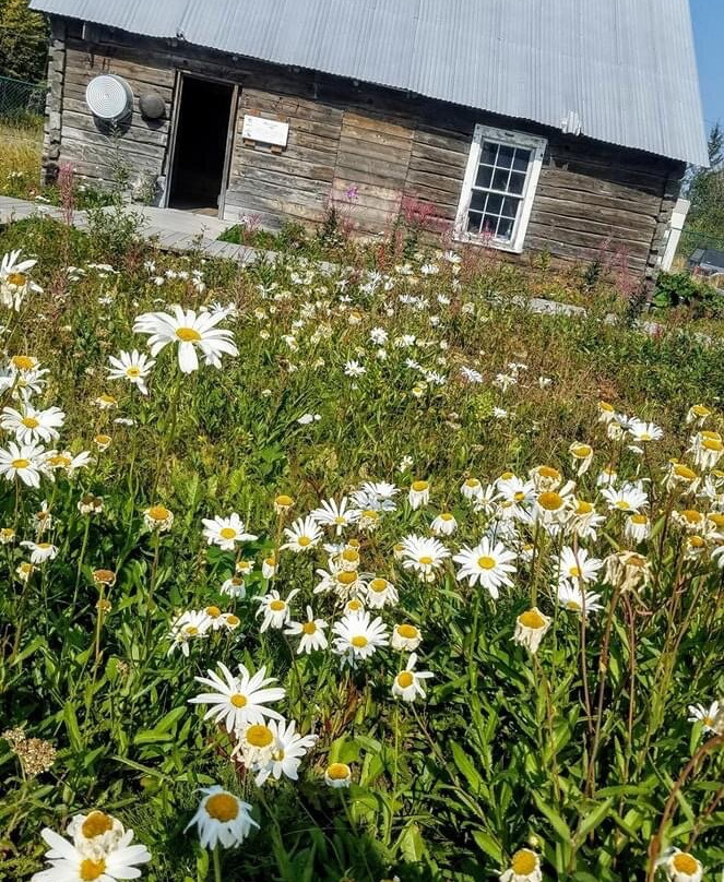 Kenai Historical Society-基奈必去景点