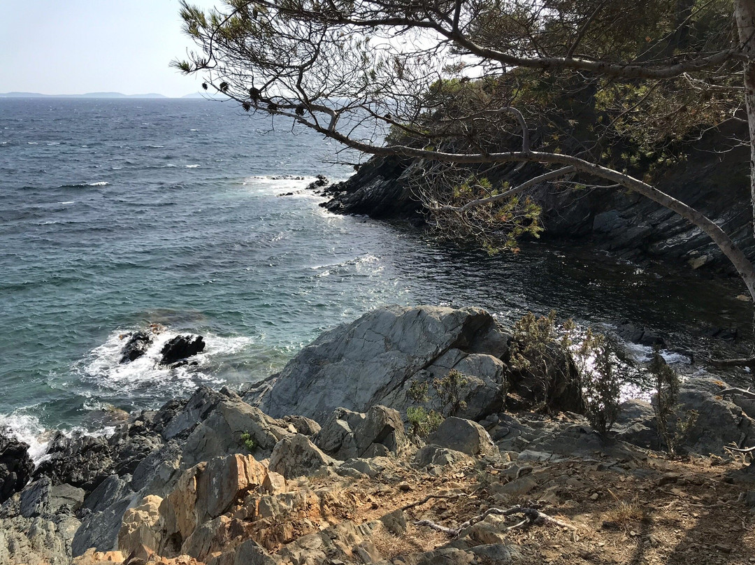 Plage de Sylvabelle-La Croix-Valmer必去景点