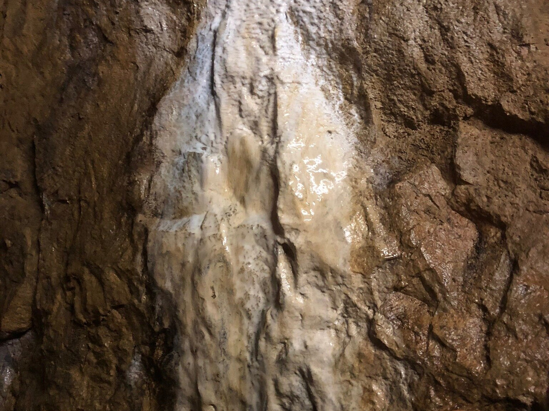 Museums-Bergwerk Schauinsland-Oberried必去景点