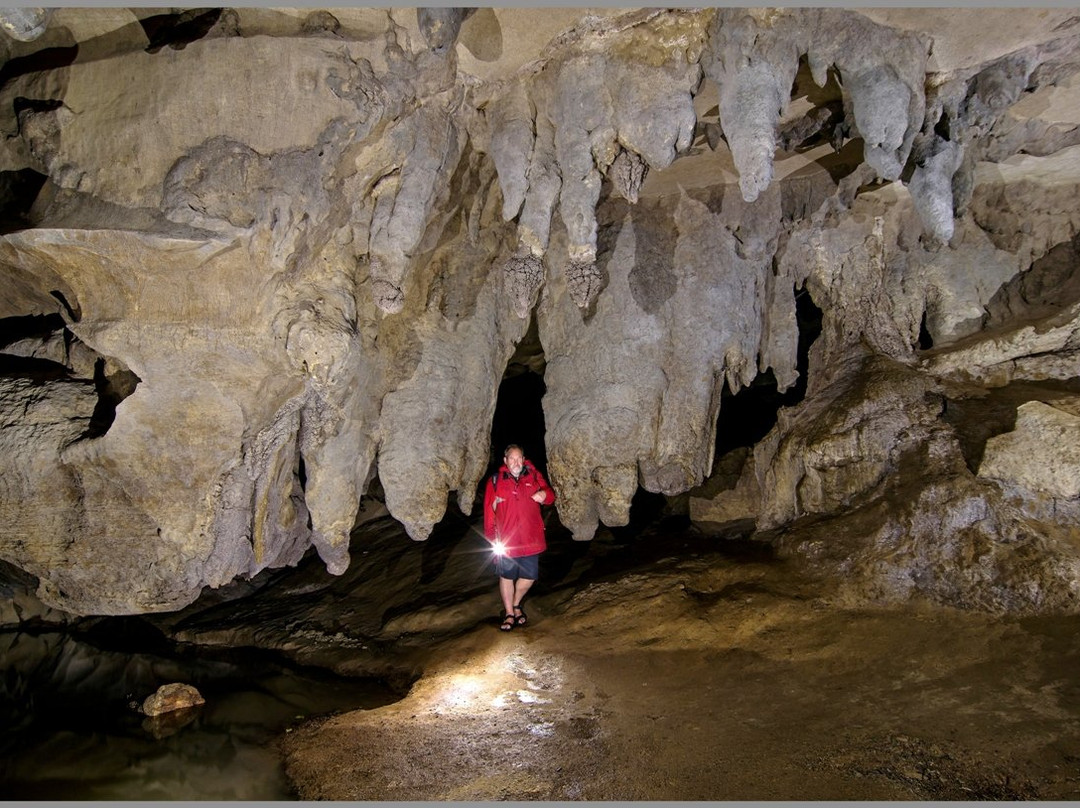 Waipu Caves Track景点图片