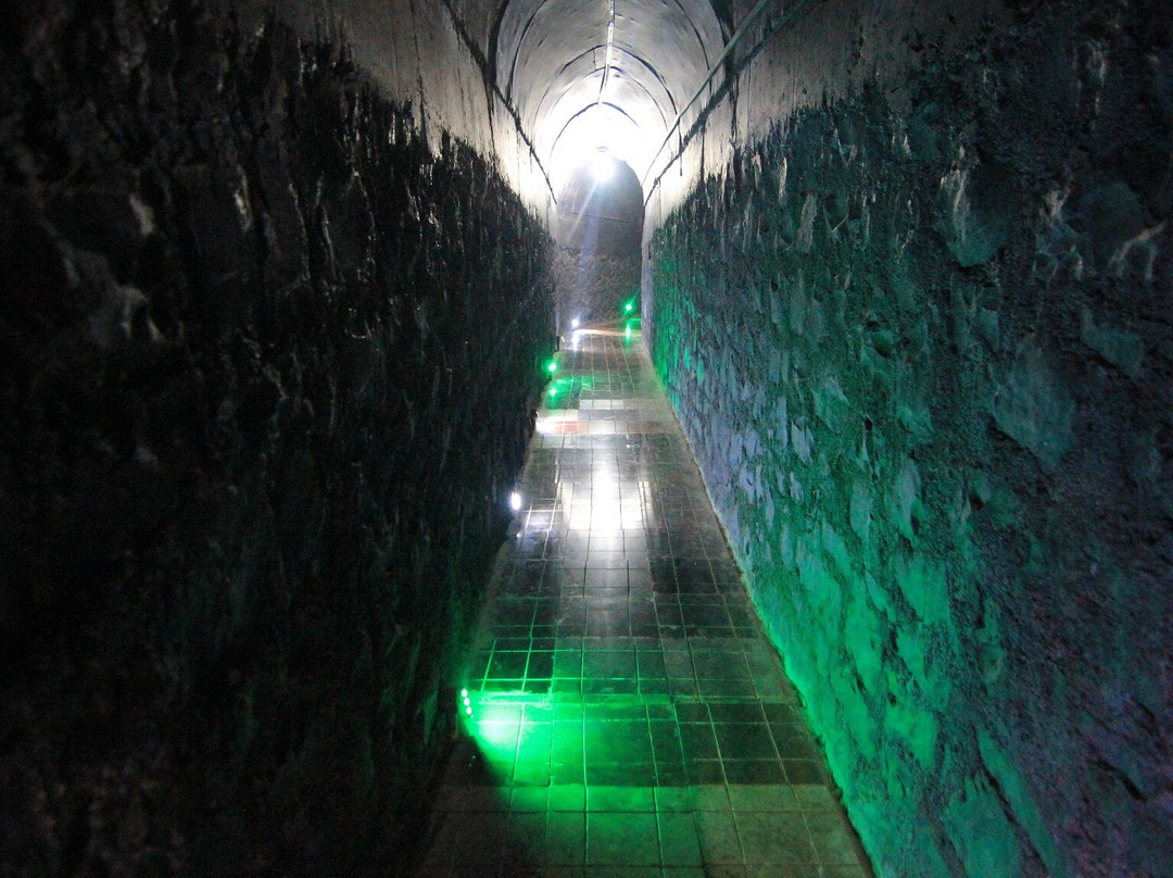 Hotel Shivneri Tapola主图