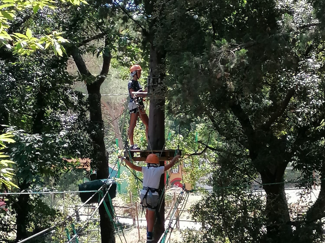 Parcallario Adventure Park into the Monti Iblei景点图片