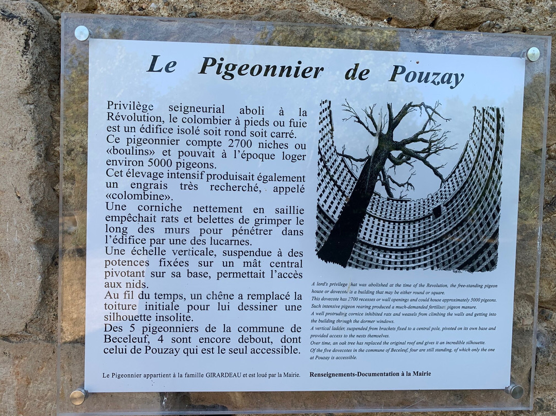 Le Chêne du Pigeonnier de Pouzay景点图片