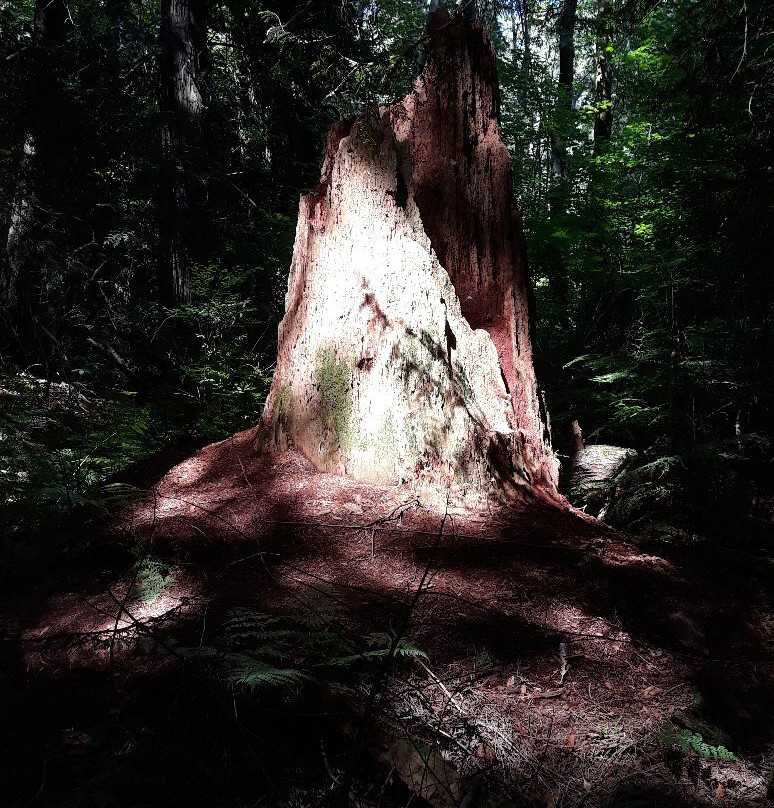 太平洋精神地区公园-温哥华必去景点