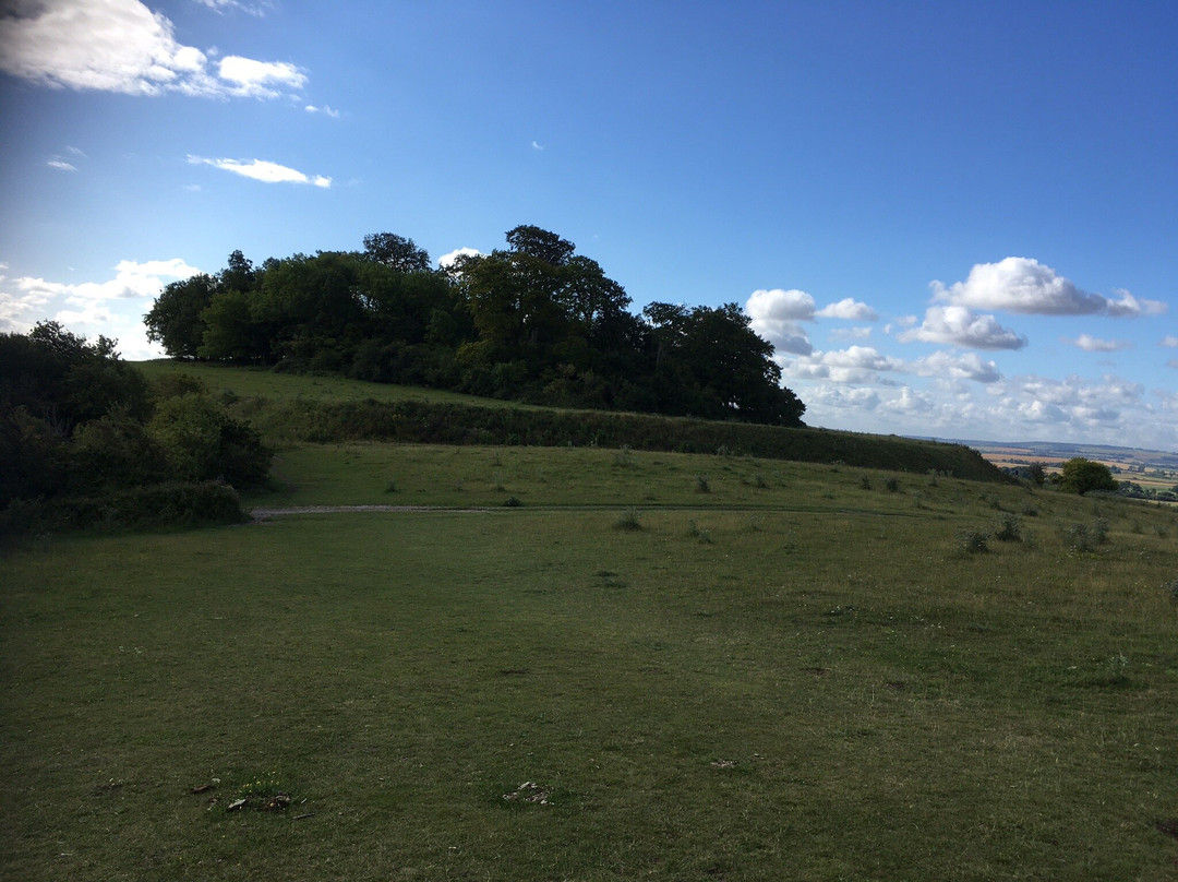 Wittenham Clumps-Little Wittenham必去景点