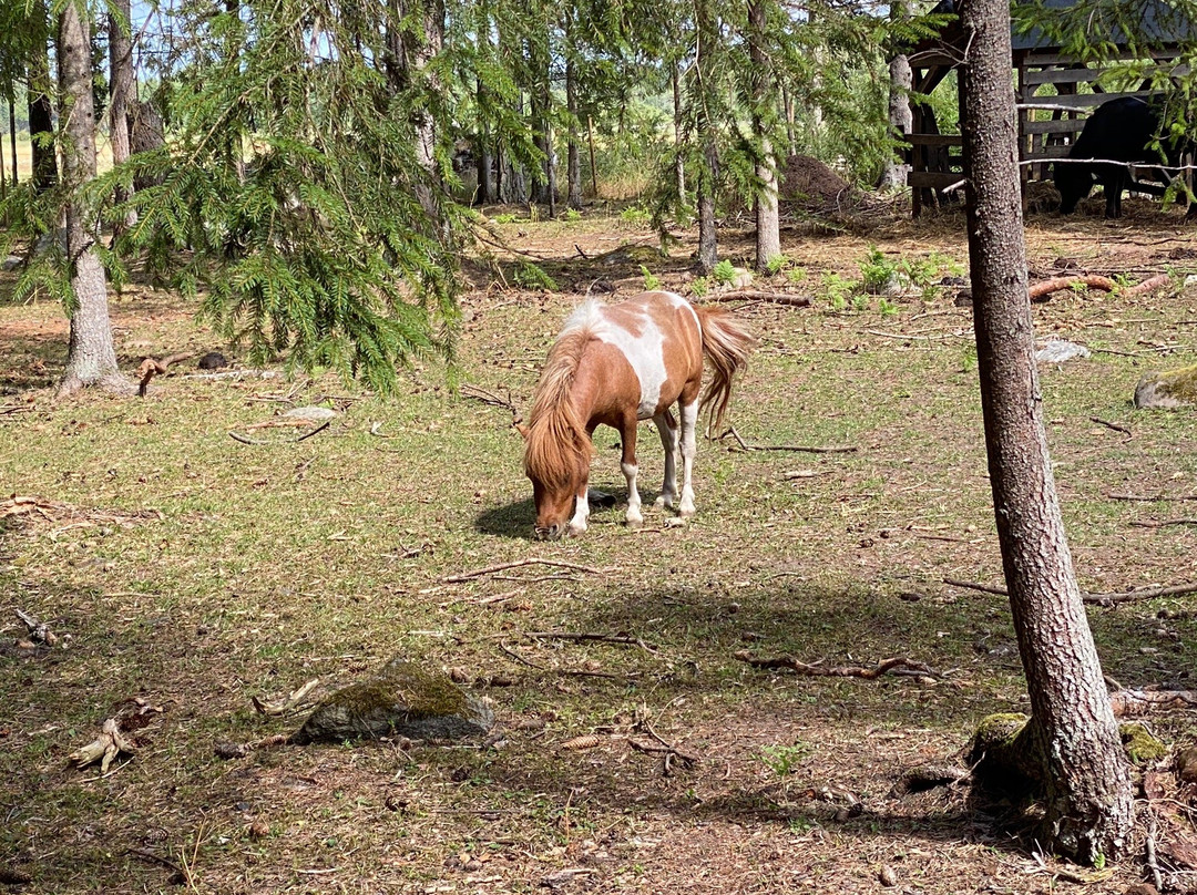 Gotlands Djurpark-哥特兰岛必去景点