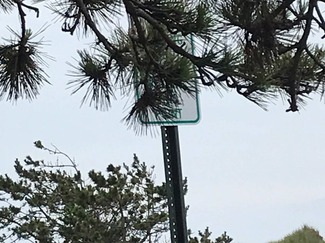 Kirk Park Beach-蒙托克必去景点