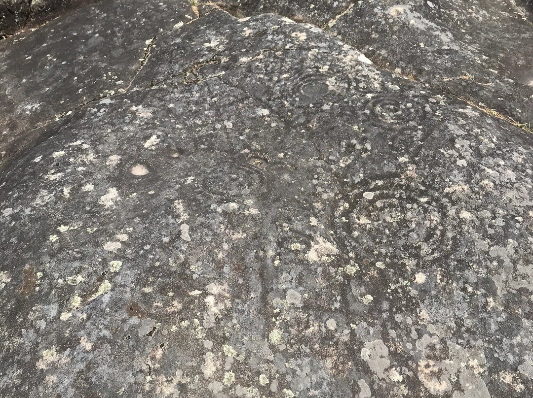 Petroglifos de Mogor景点图片