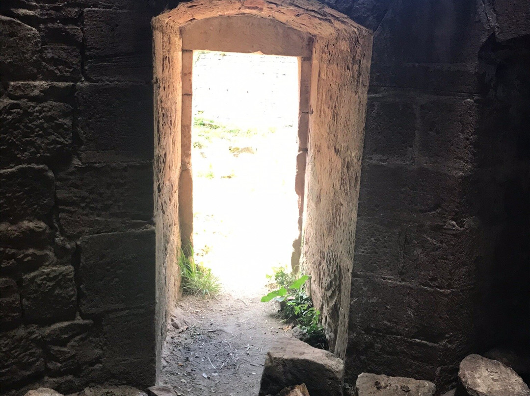 Chateau de Landsberg景点图片