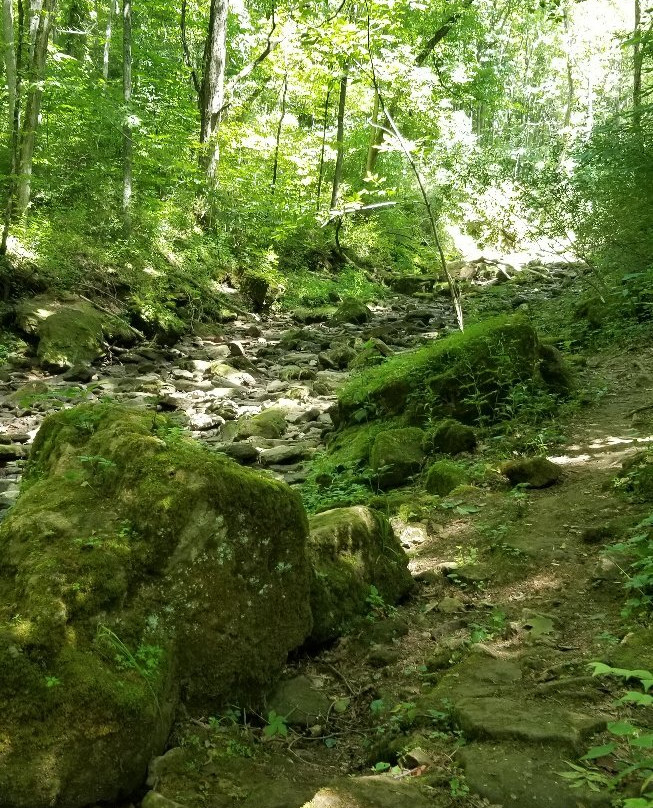 Fallsville Wildlife Area-New Vienna必去景点