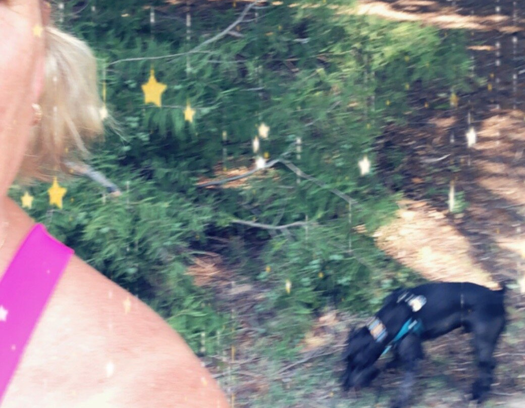 Honor Heights Park-马斯科吉必去景点