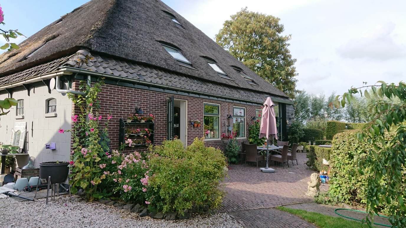 Shepherd's House-官方