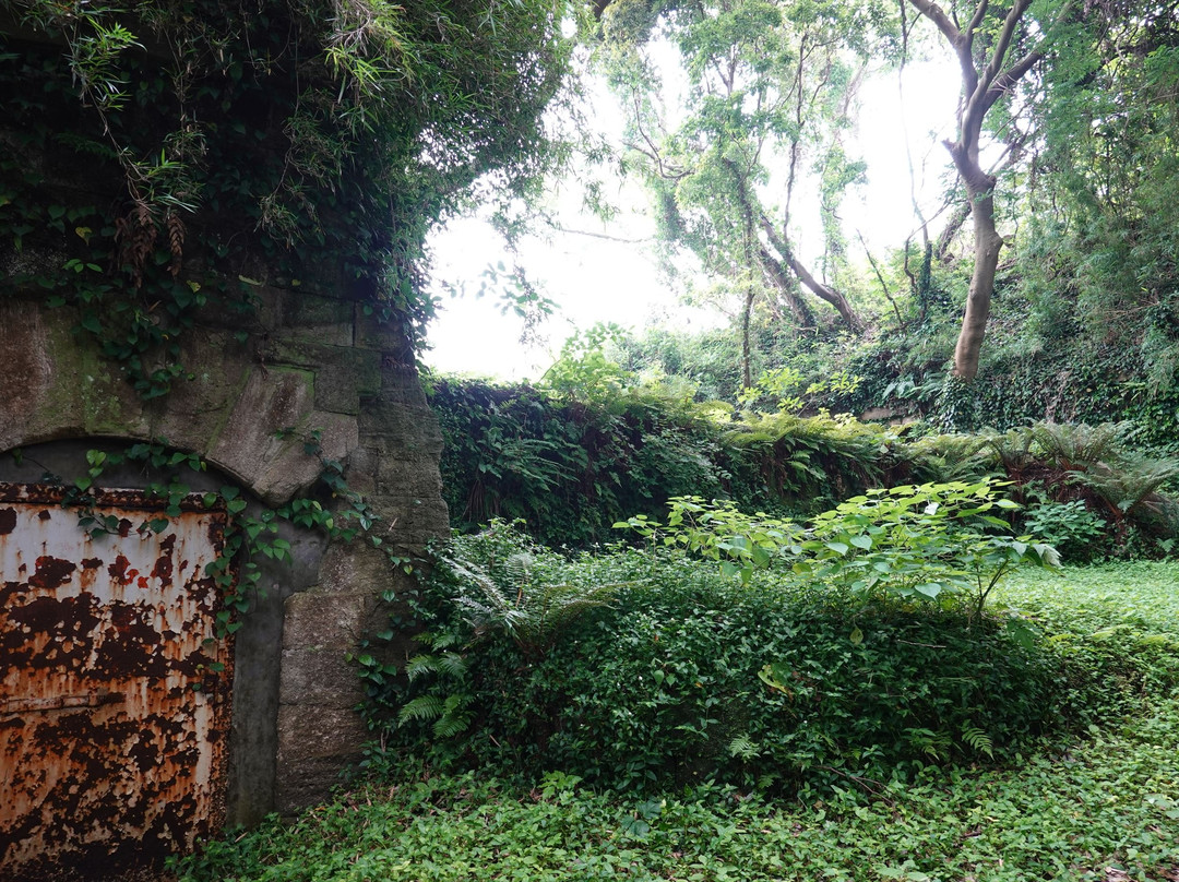 Cape Kannonzaki景点图片