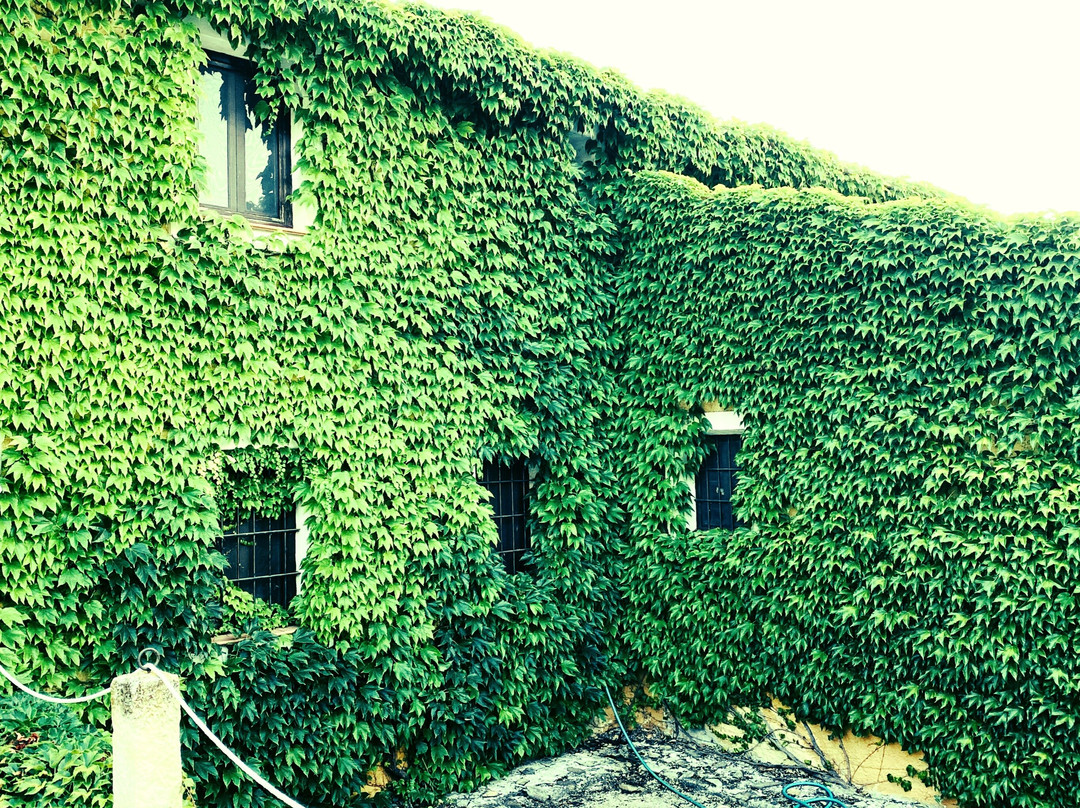 Casas de Alfaro