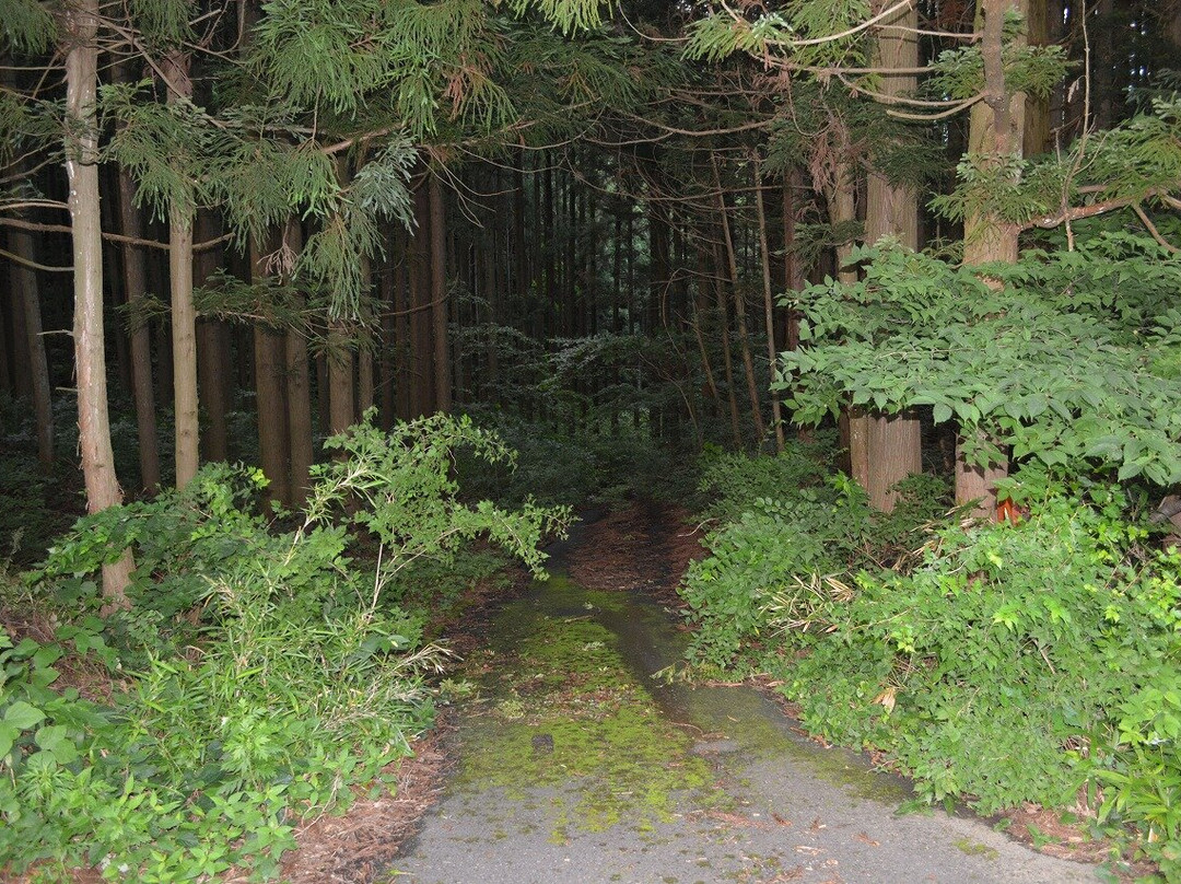 Onoachi Midori Tono Fureai No Mori Park