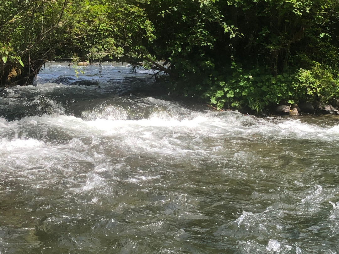 Northwest Whitewater Adventures-Oregon City必去景点