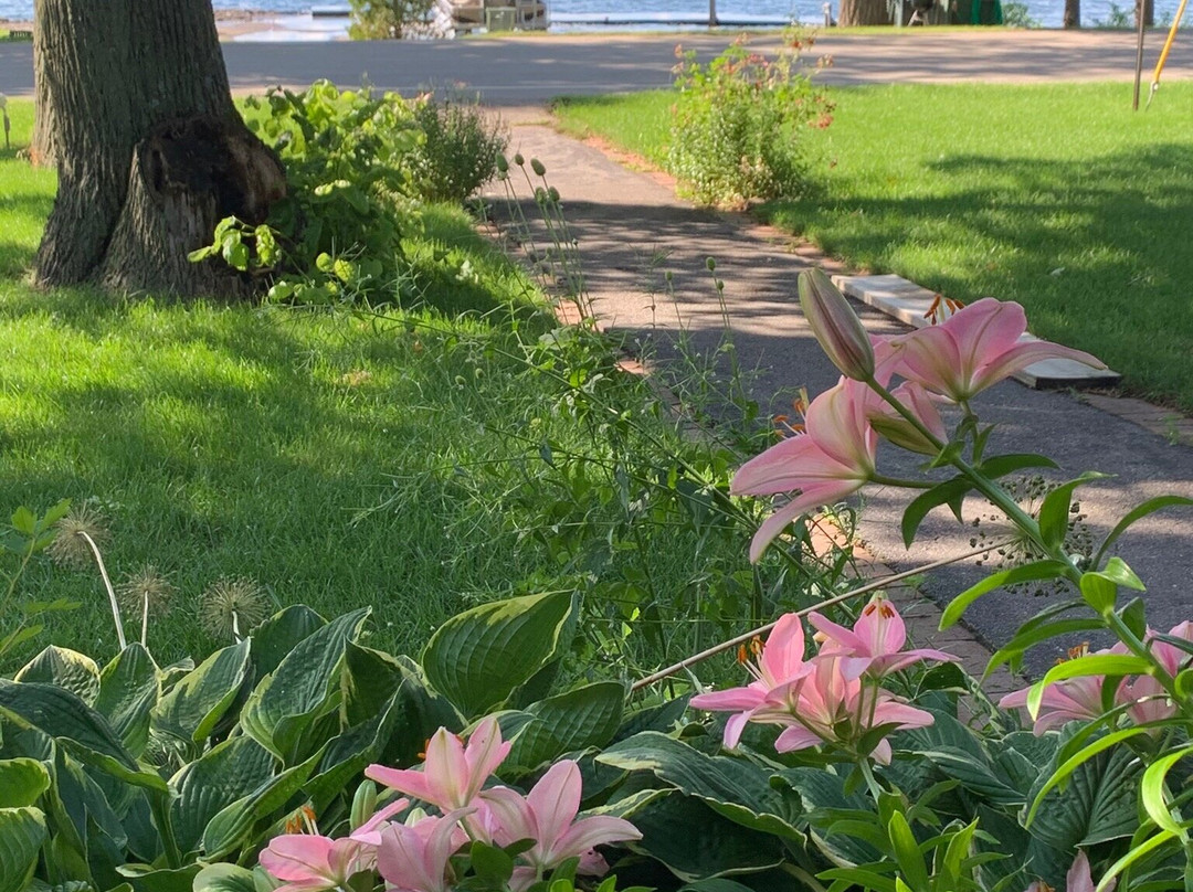 Little Harbor Inn主图