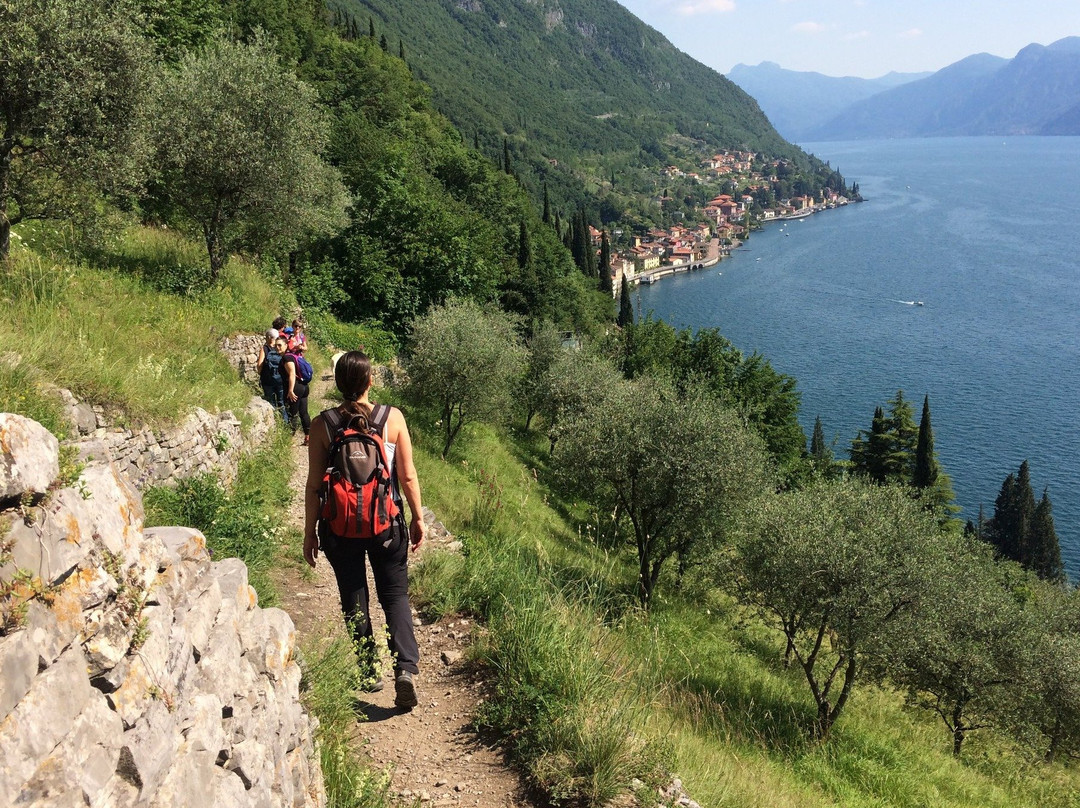 Taste & Travel Italy - FREE TOUR and more
