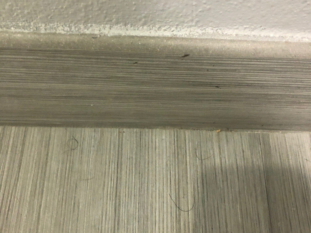 Best Western Plus Ruston Hotel主图