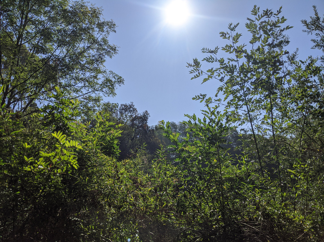 El Dorado Nature Center-长滩必去景点