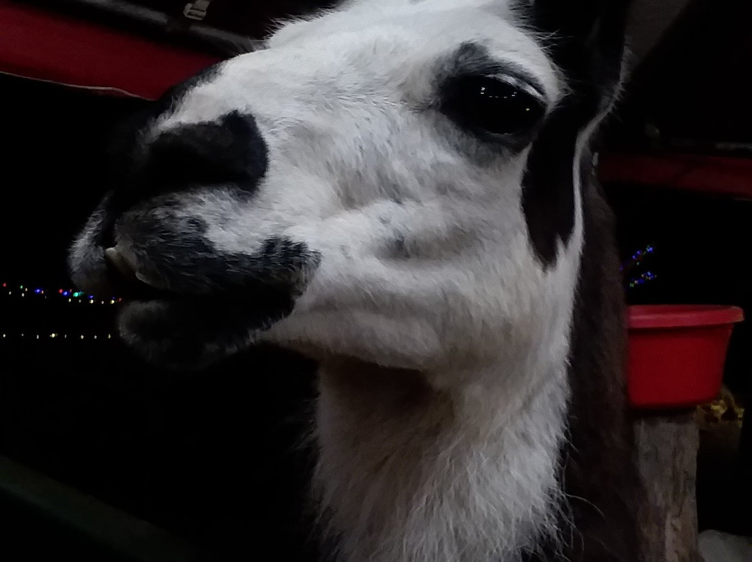 Pettit Creek Farms-Cartersville必去景点