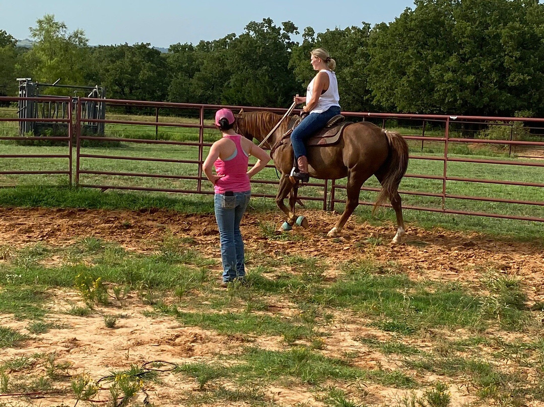 Wright Direction Horsemanship-Alvord必去景点