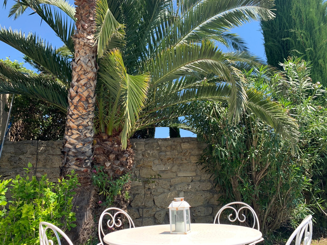 Domaine la Condamine主图