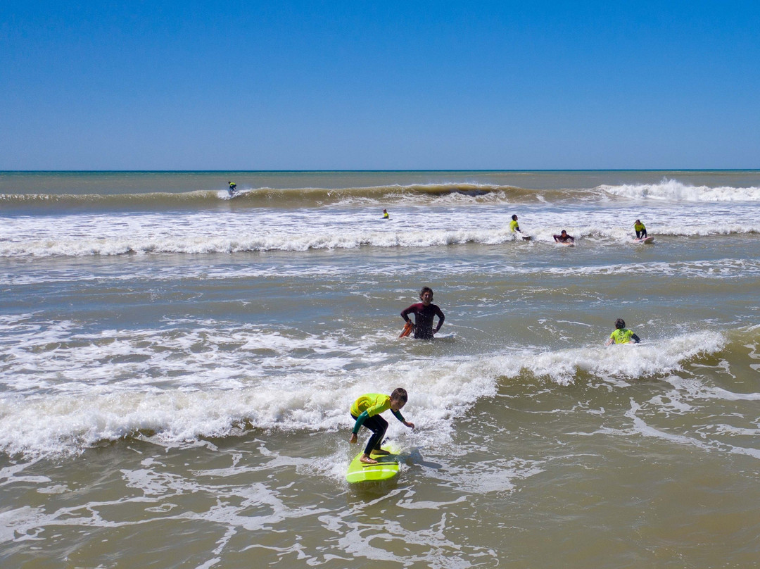 SURFARI景点图片