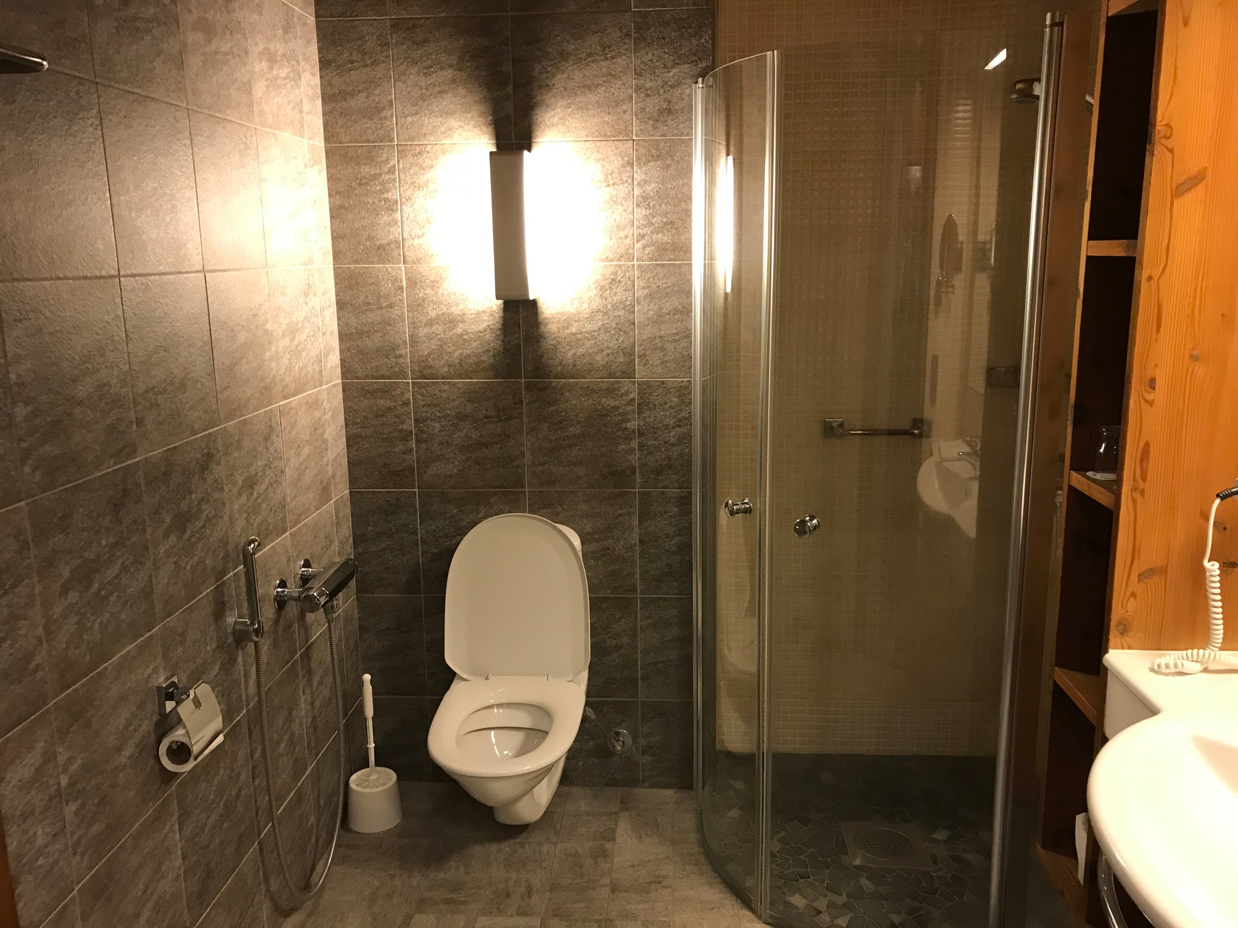 列维通托里Spa酒店-浴室