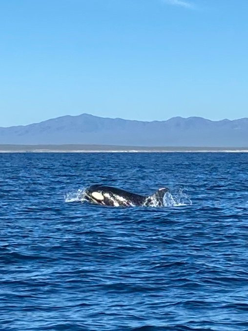 Todo Bien Hotel & Resort主图