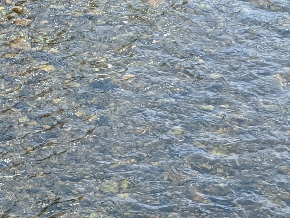 Nakatsugawa Walking Trail-盛冈市必去景点