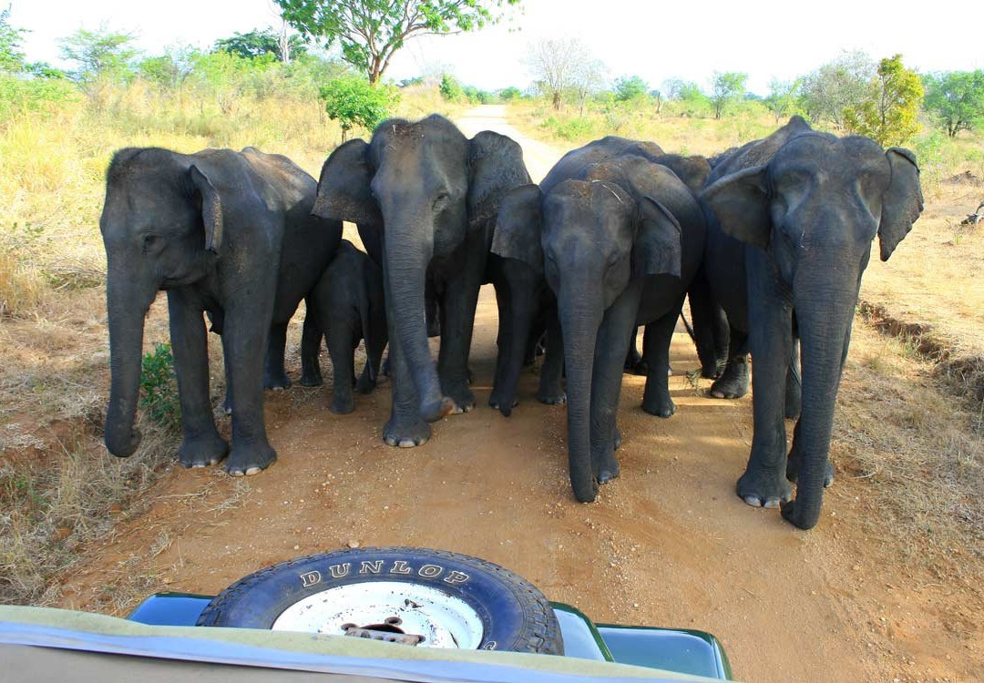 Srilankarundreisen.com-卡卢特勒必去景点