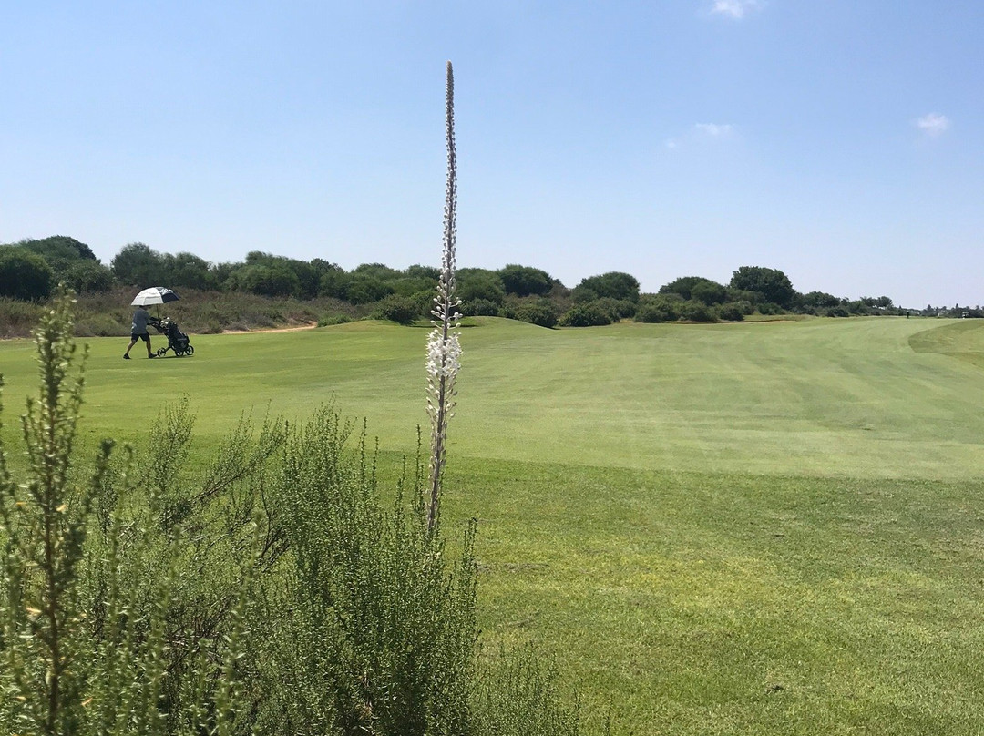 Caesarea Golf Club-凯撒利亚必去景点