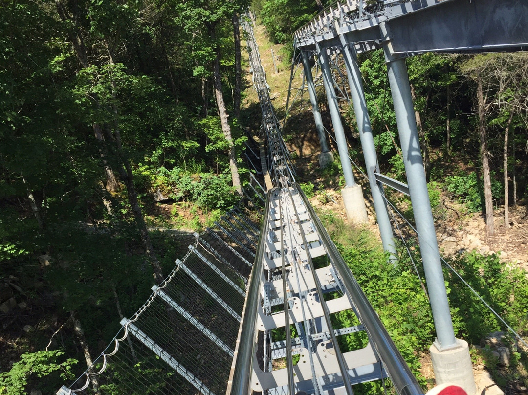 Runaway Mountain Coaster-布兰森必去景点