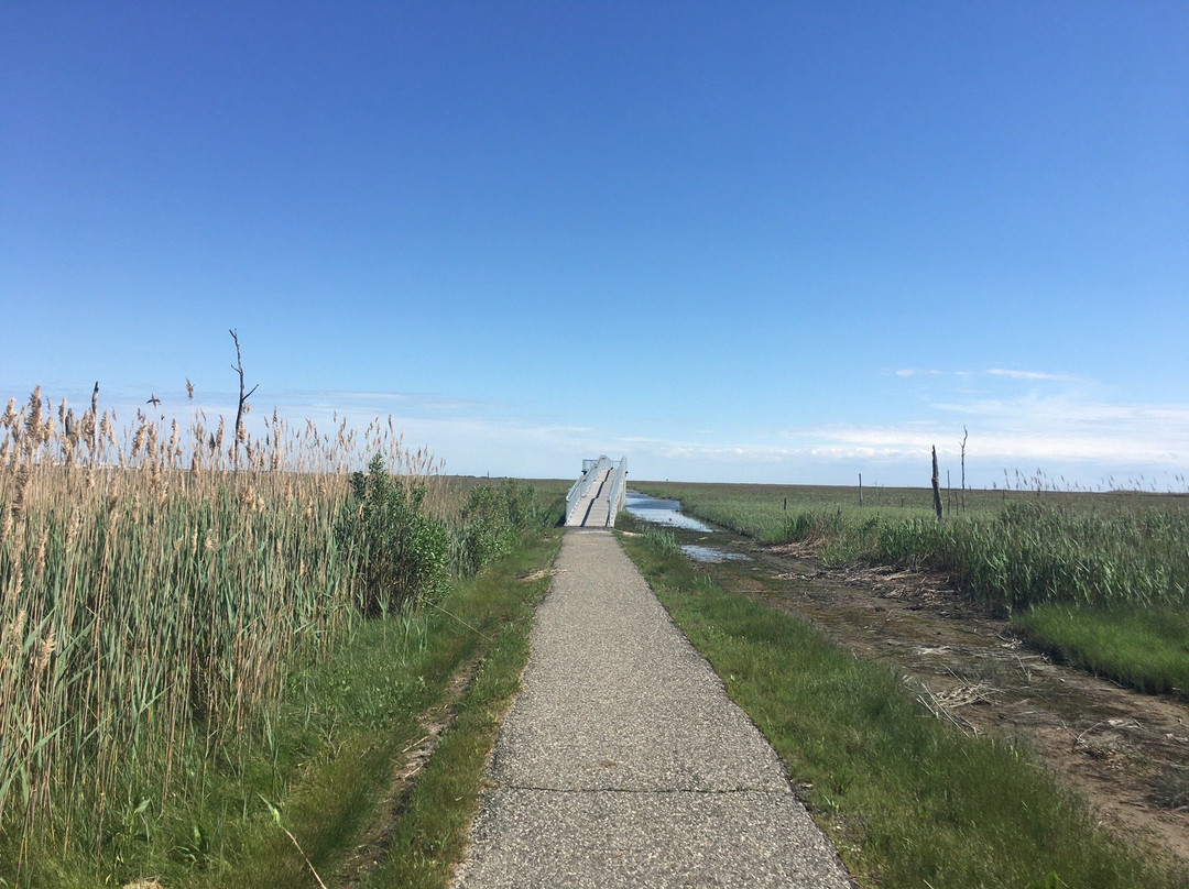Port Norris Pathway景点图片