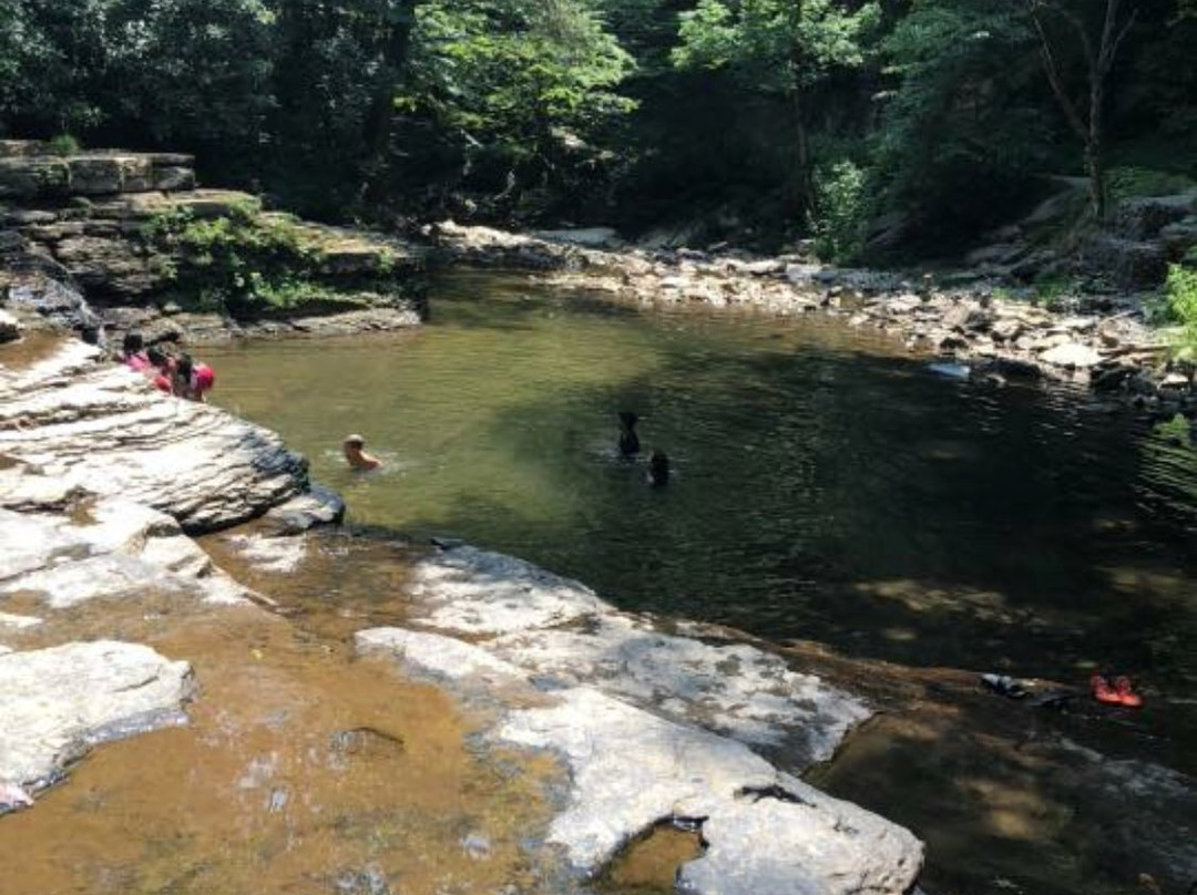 Camp Creek State Park & Forest景点图片