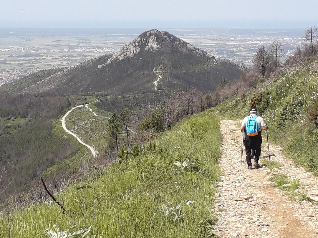 Rocca della Verruca景点图片